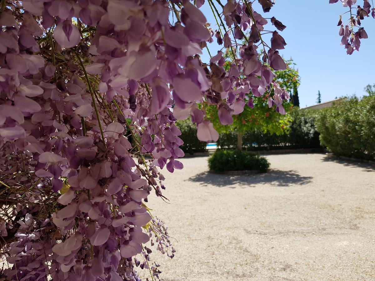 La Pastorale Bed and Breakfast Lagnes Exteriör bild